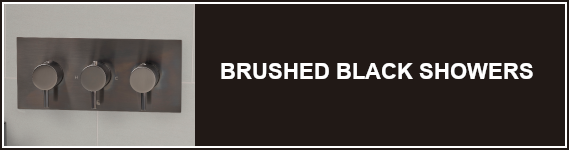 JTP Brushed Black Showers